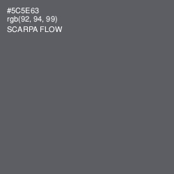 #5C5E63 - Scarpa Flow Color Image